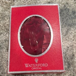 Waterford Crystal Seahorse Ornament in Vibrant Red Packaging
